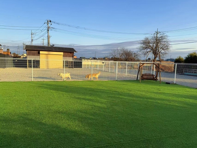 柳井ブリーダーの画像